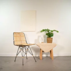 Calathea Orbifolia Et Son Panier Naturel - H40cm, ø14 Cm - Plante D'intérieur -Promos Botanivea Boutique 0a1d4522cdd0a9fb