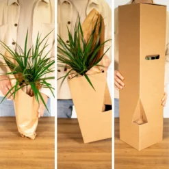 Tillandsia Et Son Support En Cube - H35cm, ø20cm - Plante D'intérieur Tombante 9 Tillandsia Et Son Support En Cube - H35cm, ø20cm - Plante D'intérieur Tombante -Promos Botanivea Boutique 1d4ca7b43168e807