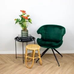 Anthurium 'aristo' Orange - Plante Flamingo - Entretien Facile - ⌀14 Cm - ↕45-55 Cm -Promos Botanivea Boutique 640b783c3548d8.40389046