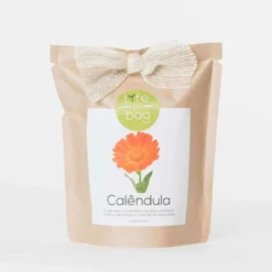 Sac Papier Prêt à Cultiver Calendula -Promos Botanivea Boutique 6420e04cc66213.78794182