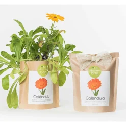 Sac Papier Prêt à Cultiver Calendula -Promos Botanivea Boutique 6420e04cca6d08.48418237
