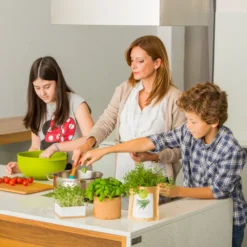 Sac Papier Prêt à Cultiver Calendula -Promos Botanivea Boutique 6420e04ce65762.91235116