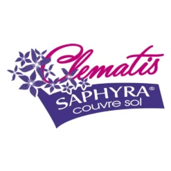 Clématite Saphyra® Violetta "m32-10'/pot De 1,5l - Tuteur Bambou 30/60 Cm 9 Clématite Saphyra® Violetta "m32-10'/pot De 1,5l - Tuteur Bambou 30/60 Cm -Promos Botanivea Boutique 645d8588a2e9e0.30160117