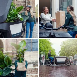 Rhipsalis Baccifera - H30cm, ø12cm - Plante D'intérieur Tombante 9 Rhipsalis Baccifera - H30cm, ø12cm - Plante D'intérieur Tombante -Promos Botanivea Boutique d3a5bef6d9799bb3