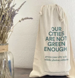 Kit Prêt à Planter - 3 Feuilles 9 Kit Prêt à Planter - 3 Feuilles -Promos Botanivea Boutique ea572adcd263b51f